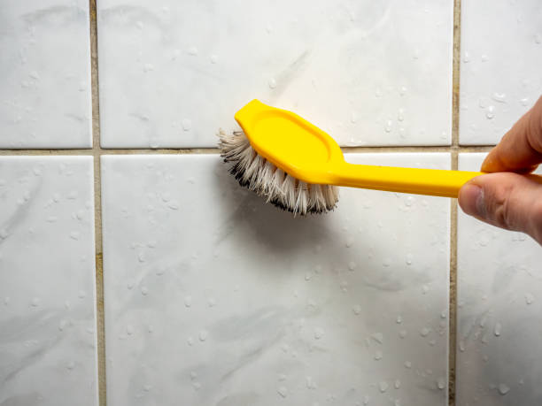 Best Kitchen Mold Remediation in Midway, FL