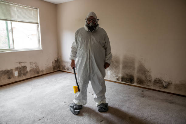 Best Post-Flood Mold Remediation in Midway, FL